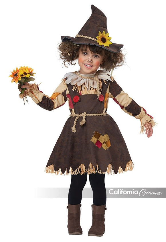 Scarecrow Pumpkin Patch (CC00177)