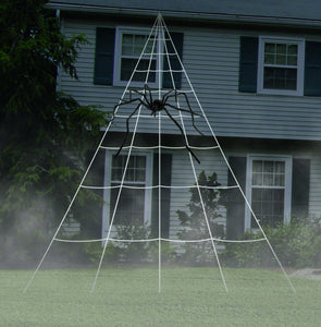 Spider Web Giant (FM81138)