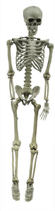 Skeleton Hanging (PE42022)