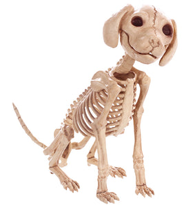 Skeleton Puppy (SEW80685)