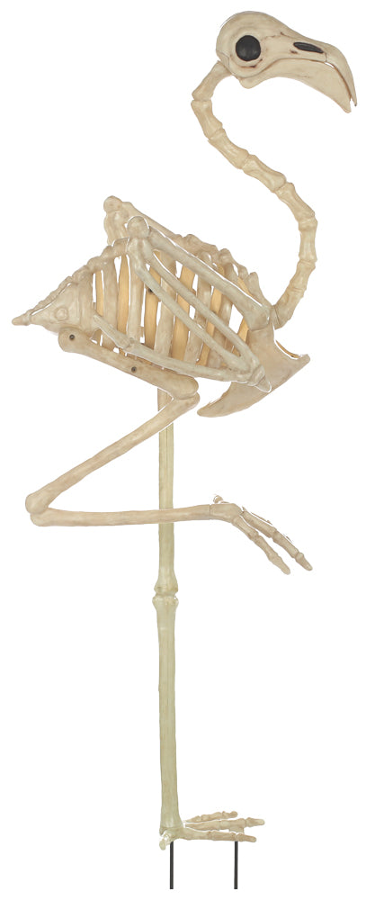 Flamingo Skeleton (SEW81626)