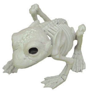 Frog Skeleton (SEZ28044)