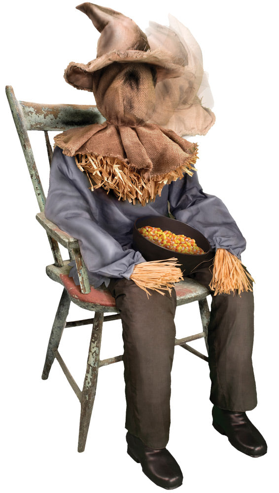 Scarecrow Sitting (TT58521)