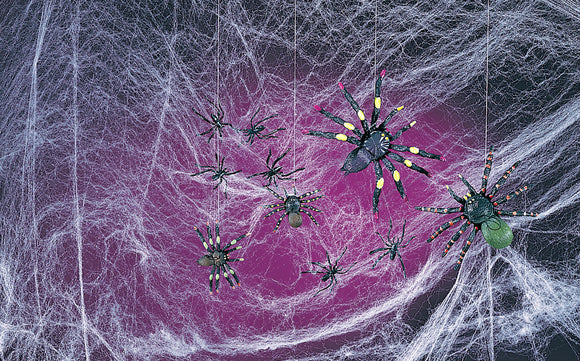 Web Spooky Spiders (FW8827)