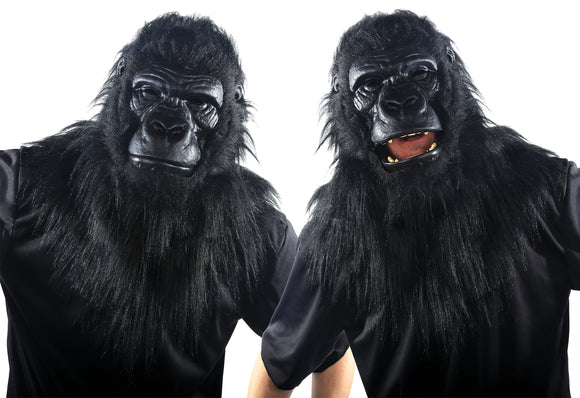 Gorilla (MR039164)