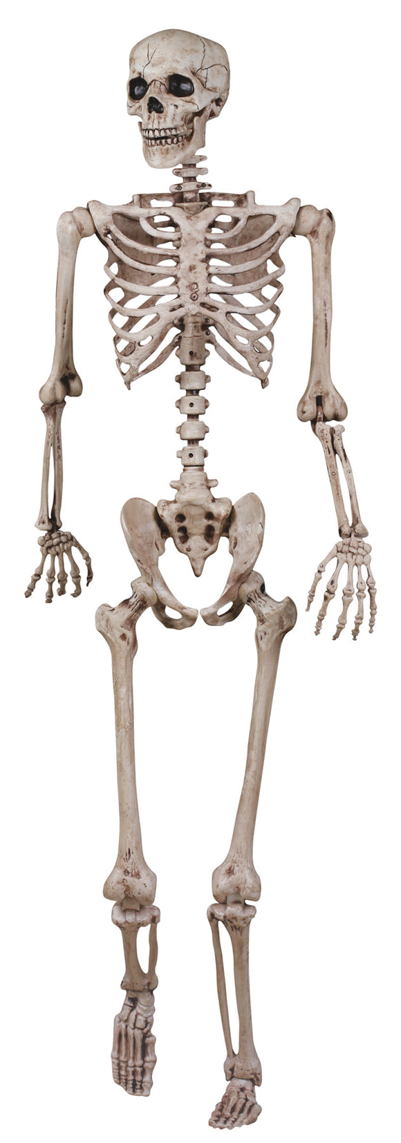 Skeleton Posable (SE18724)