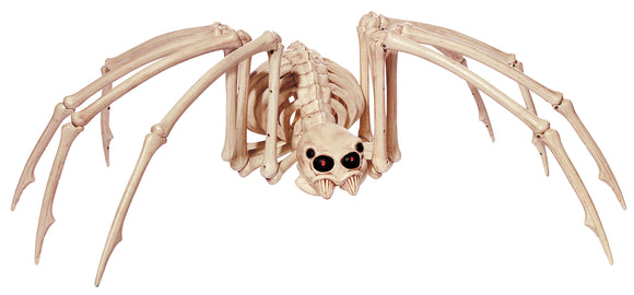 Skeleton Spider (SEZ19162)