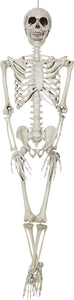 Skeleton (SS80010)